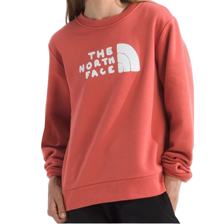 NORTH FACE Evo Sketch Logo Crew Neck