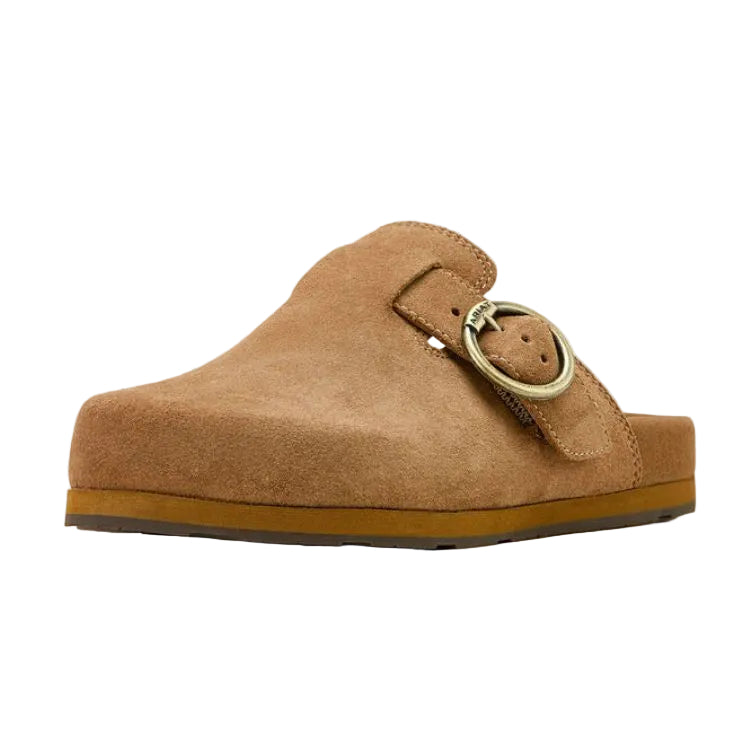 ARIAT Country Mule