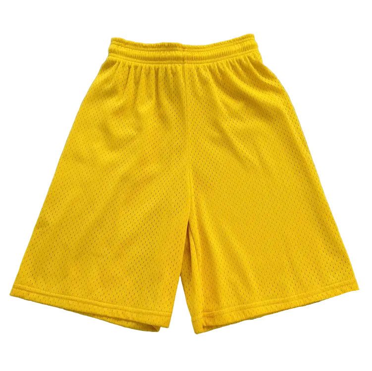 DYESPORT 9" Adult Mesh Basketball Shorts
