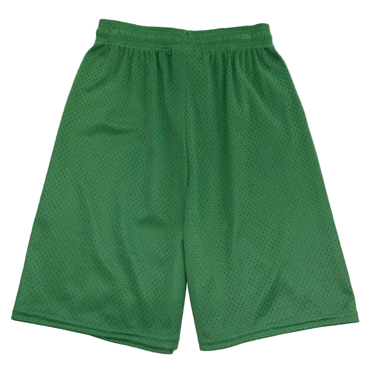 DYESPORT 9" Adult Mesh Basketball Shorts