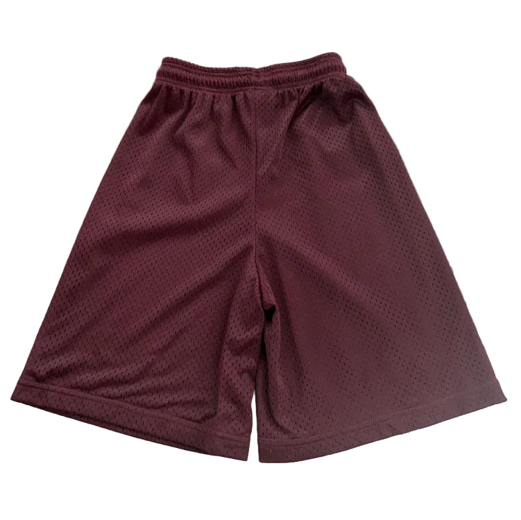 DYESPORT 9" Adult Mesh Basketball Shorts