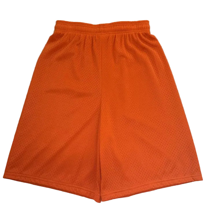 DYESPORT 9" Adult Mesh Basketball Shorts