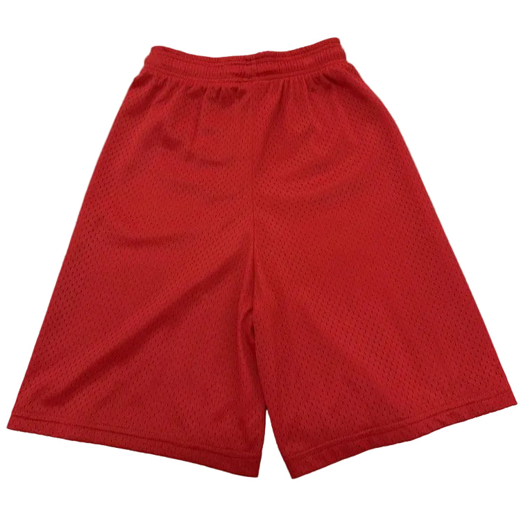 DYESPORT 9" Adult Mesh Basketball Shorts