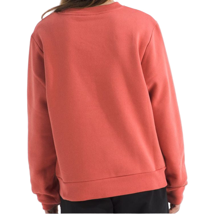 NORTH FACE Evo Sketch Logo Crew Neck