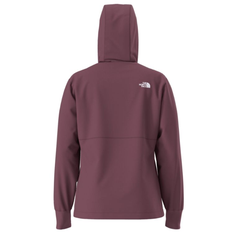 THE NORTH FACE Shelbe Raschel Hoodie