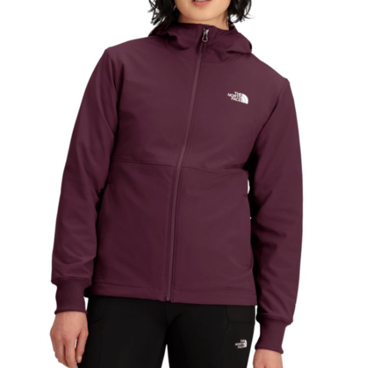 THE NORTH FACE Shelbe Raschel Hoodie