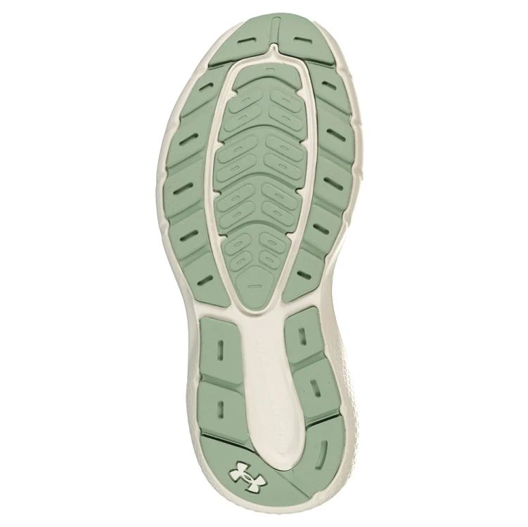 UNDER ARMOUR Charged Rogue 5